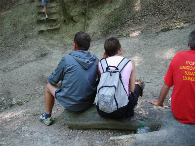 DSC05854 (Medium)